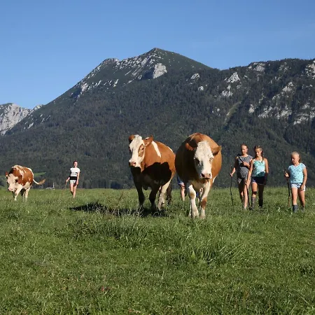 Farm stay Weissenhof - Chiemgau Karte *